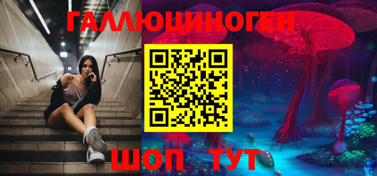 Аксай  Псилоцибиновые грибы Magic Shrooms  Вход с VPN  Псилоцибиновые грибы Psilocybine cubensis 