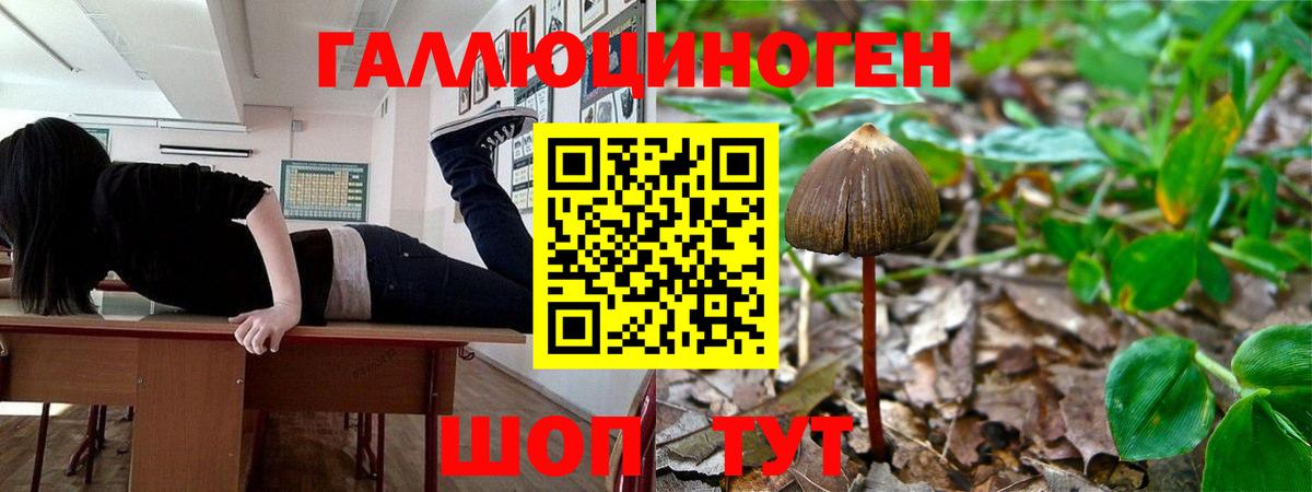 Псилоцибиновые грибы ЛСД Аксай